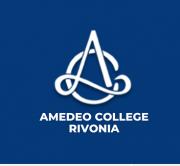 Amedeo College